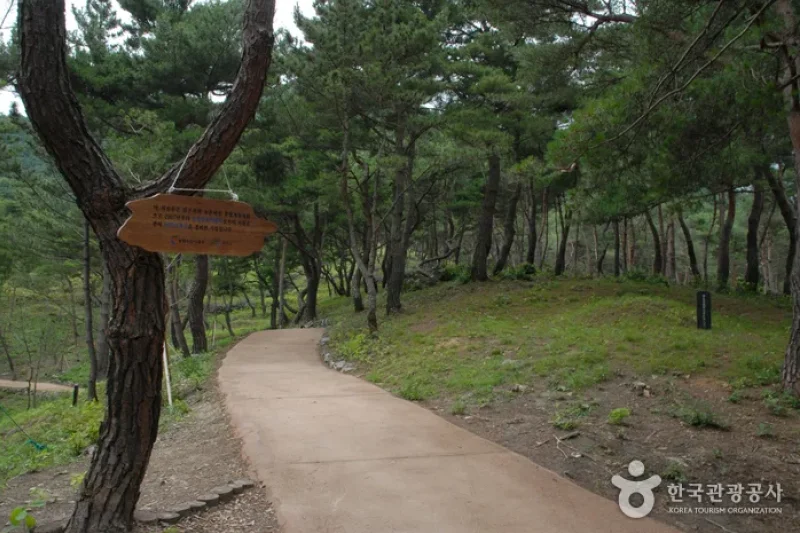 Old Sanmaki Road (산막이옛길) (2/5)