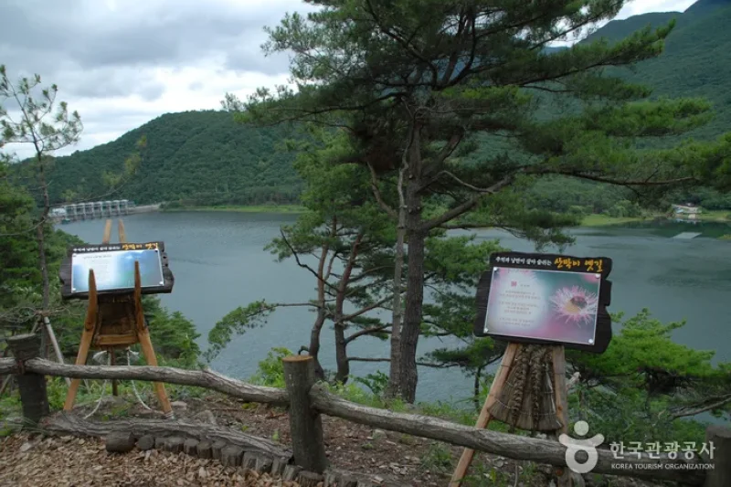 Old Sanmaki Road (산막이옛길) (4/5)