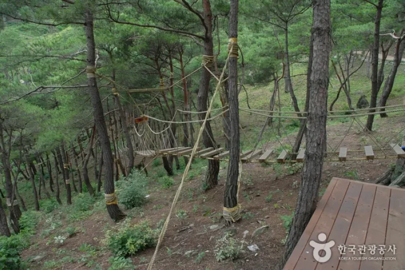 Old Sanmaki Road (산막이옛길) (5/5)