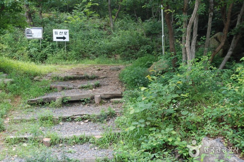 Jangnyeongsan Natural Forest (장령산자연휴양림) (2/17)