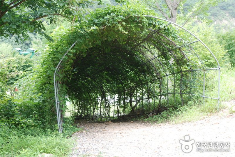 Jangnyeongsan Natural Forest (장령산자연휴양림) (3/17)
