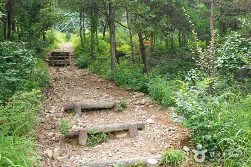 Jangnyeongsan Natural Forest (장령산자연휴양림) (4/17)