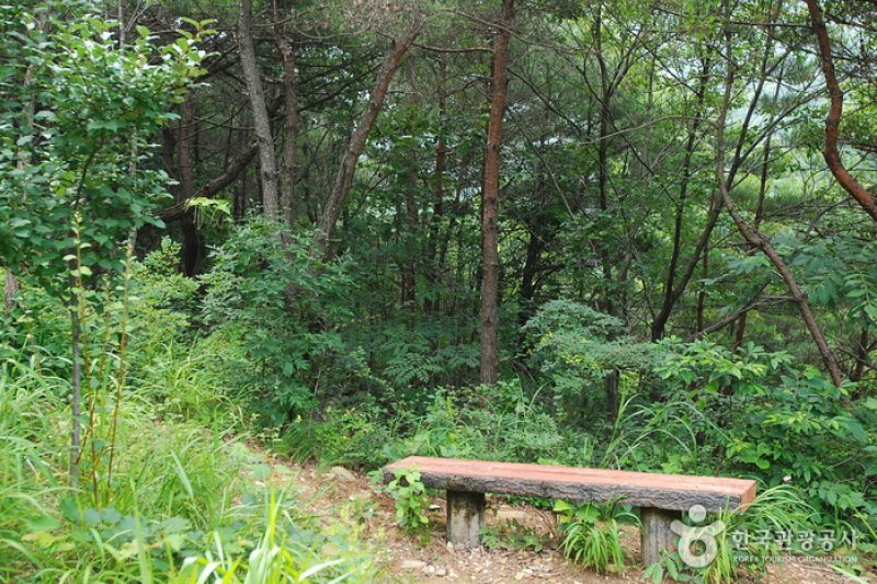 Jangnyeongsan Natural Forest (장령산자연휴양림) (5/17)