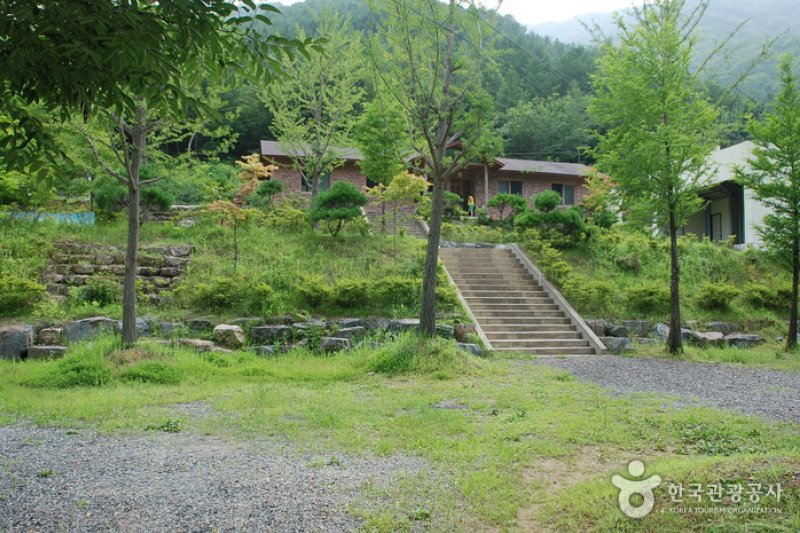 Jangnyeongsan Natural Forest (장령산자연휴양림) (6/17)