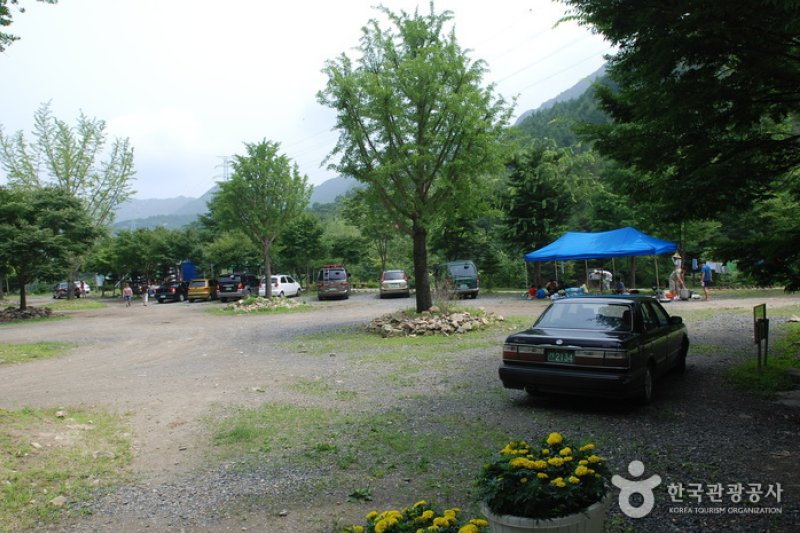 Jangnyeongsan Natural Forest (장령산자연휴양림) (7/17)