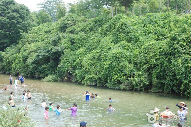 Jangnyeongsan Natural Forest (장령산자연휴양림) (9/17)