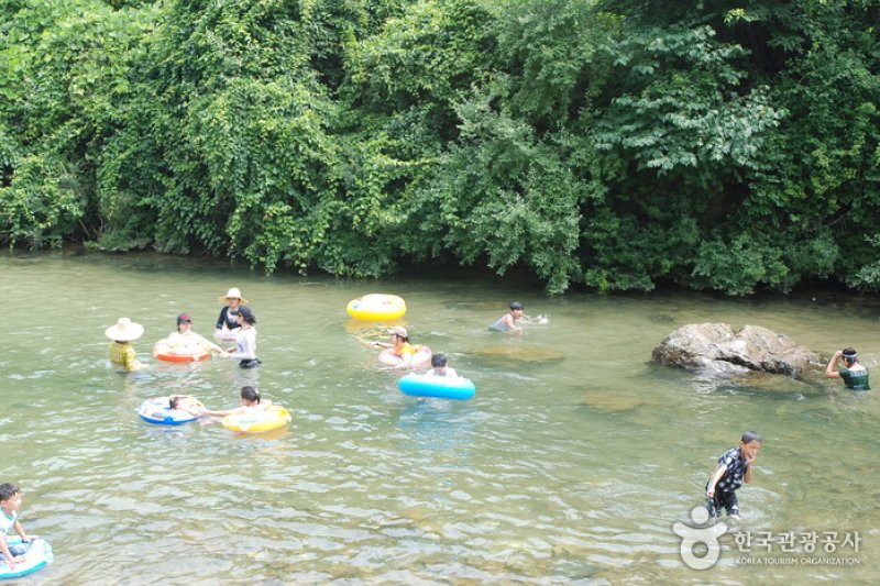 Jangnyeongsan Natural Forest (장령산자연휴양림) (10/17)