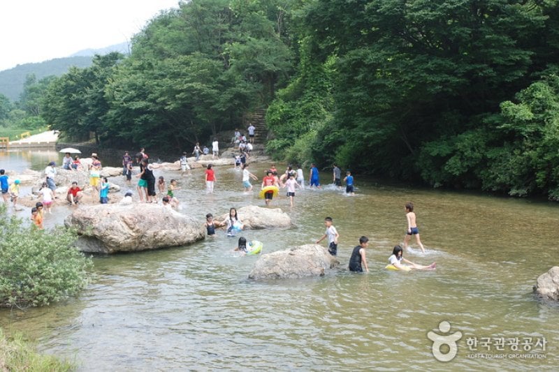 Jangnyeongsan Natural Forest (장령산자연휴양림) (11/17)