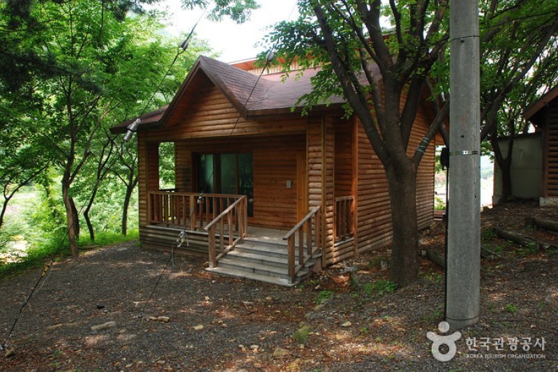 Jangnyeongsan Natural Forest (장령산자연휴양림) (12/17)