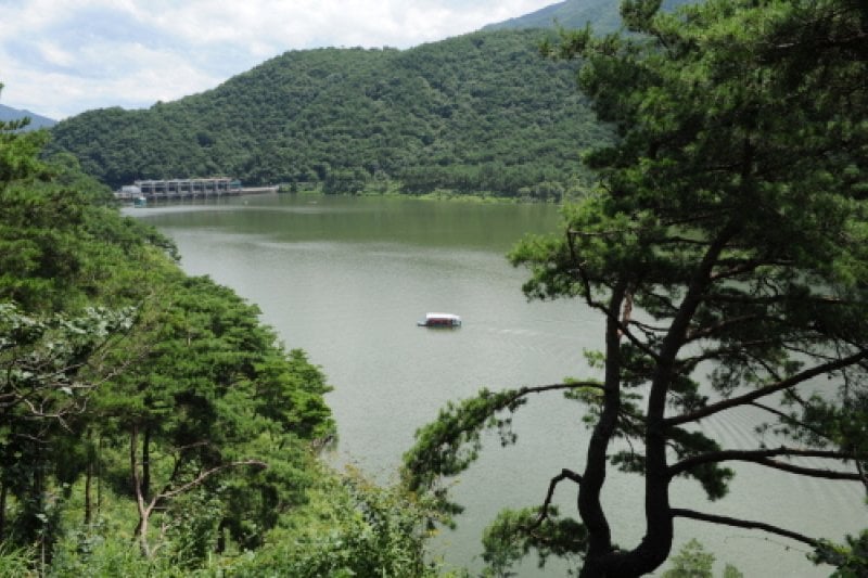 Goesanho Lake (괴산호) (3/11)