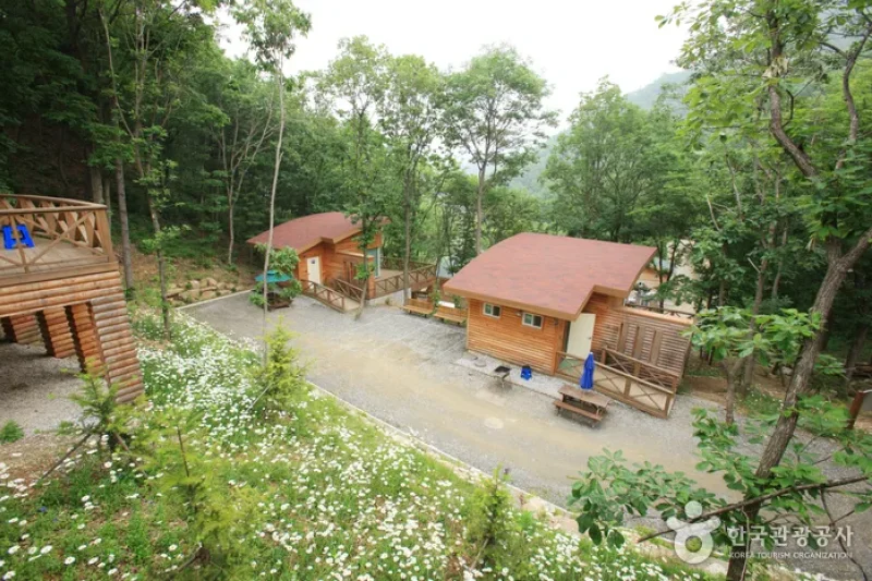 Jwagusan Natural Recreation Forest (좌구산자연휴양림) (1/20)