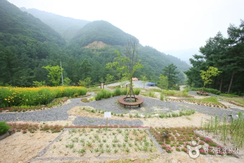 Jwagusan Natural Recreation Forest (좌구산자연휴양림) (2/20)
