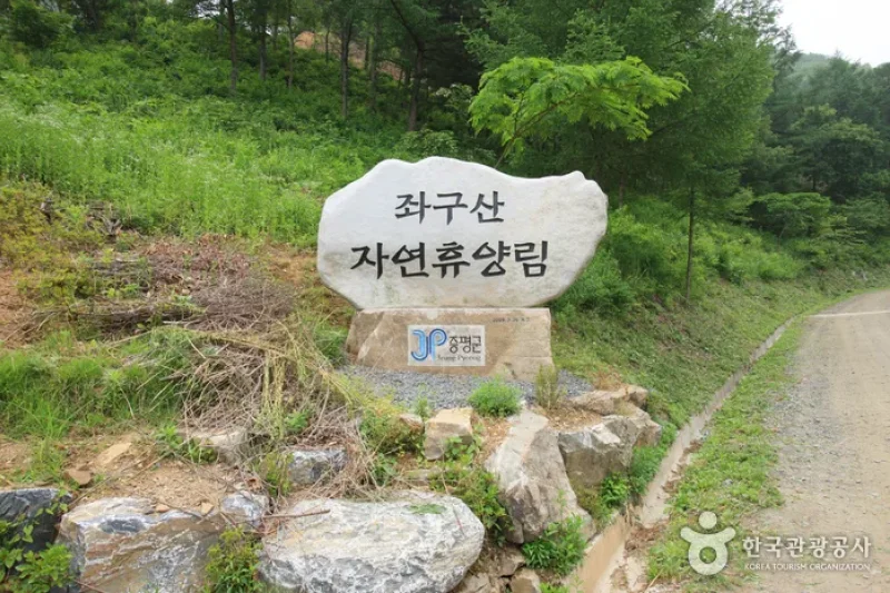 Jwagusan Natural Recreation Forest (좌구산자연휴양림) (3/20)