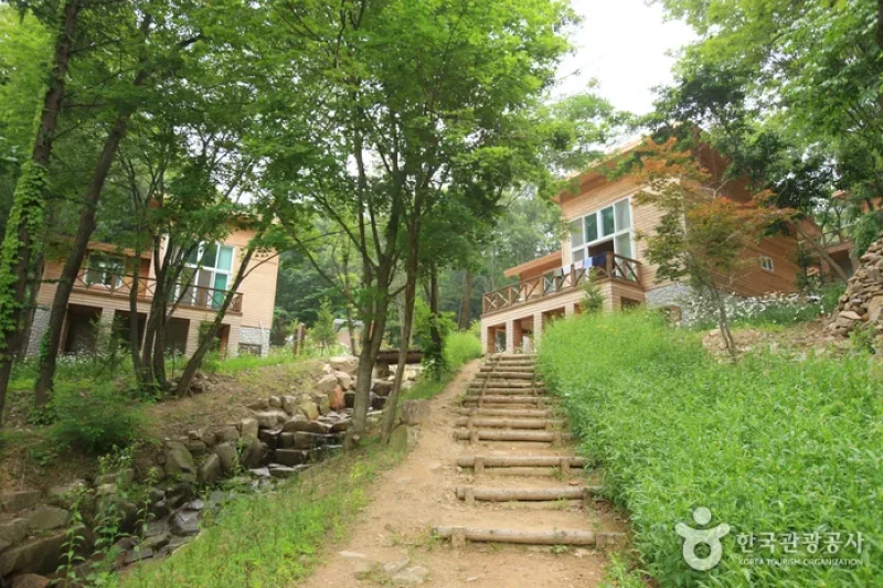 Jwagusan Natural Recreation Forest (좌구산자연휴양림) (5/20)