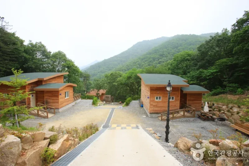 Jwagusan Natural Recreation Forest (좌구산자연휴양림) (6/20)