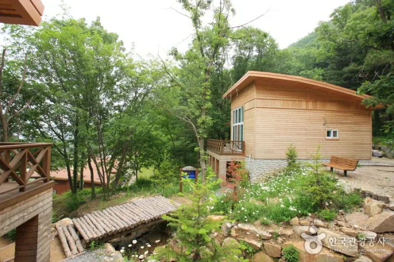 Jwagusan Natural Recreation Forest (좌구산자연휴양림) (11/20)