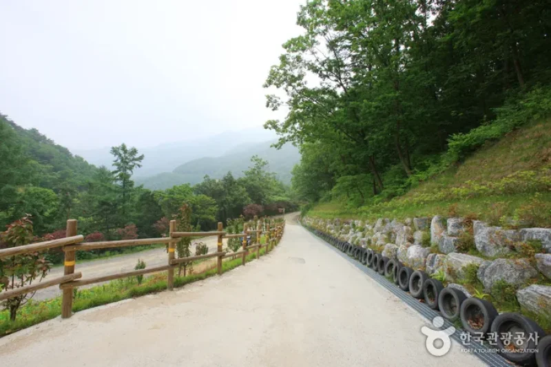 Jwagusan Natural Recreation Forest (좌구산자연휴양림) (13/20)