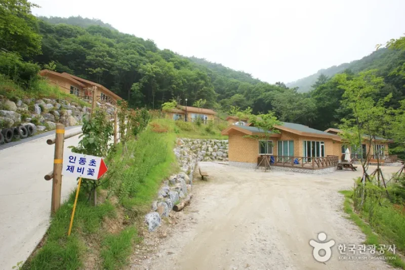 Jwagusan Natural Recreation Forest (좌구산자연휴양림) (14/20)