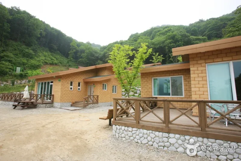 Jwagusan Natural Recreation Forest (좌구산자연휴양림) (15/20)