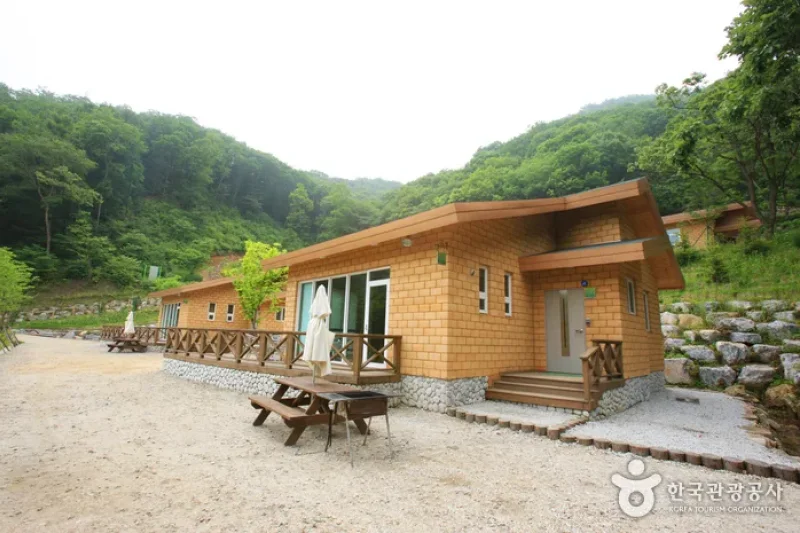 Jwagusan Natural Recreation Forest (좌구산자연휴양림) (16/20)