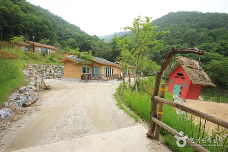 Jwagusan Natural Recreation Forest (좌구산자연휴양림) (17/20)