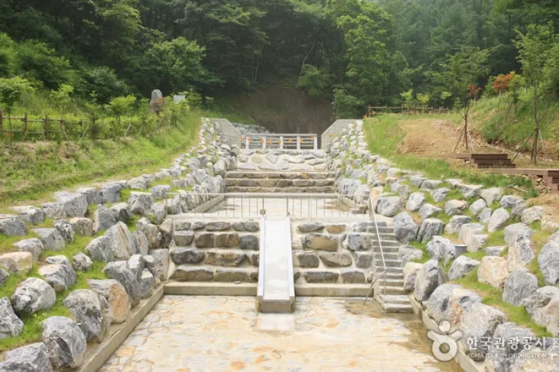 Jwagusan Natural Recreation Forest (좌구산자연휴양림) (18/20)