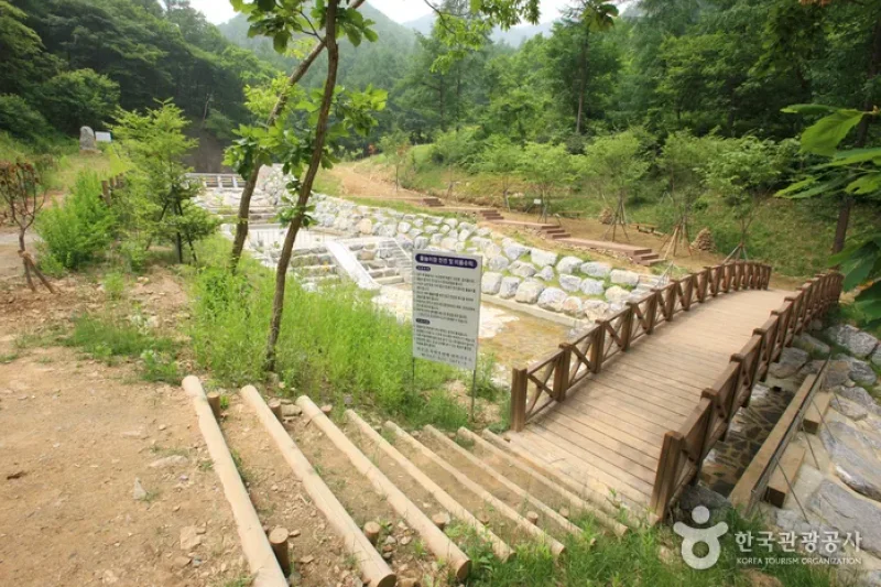 Jwagusan Natural Recreation Forest (좌구산자연휴양림) (20/20)