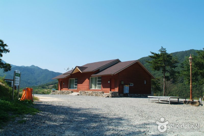 Bonghwang Natural Forest (봉황자연휴양림) (1/6)