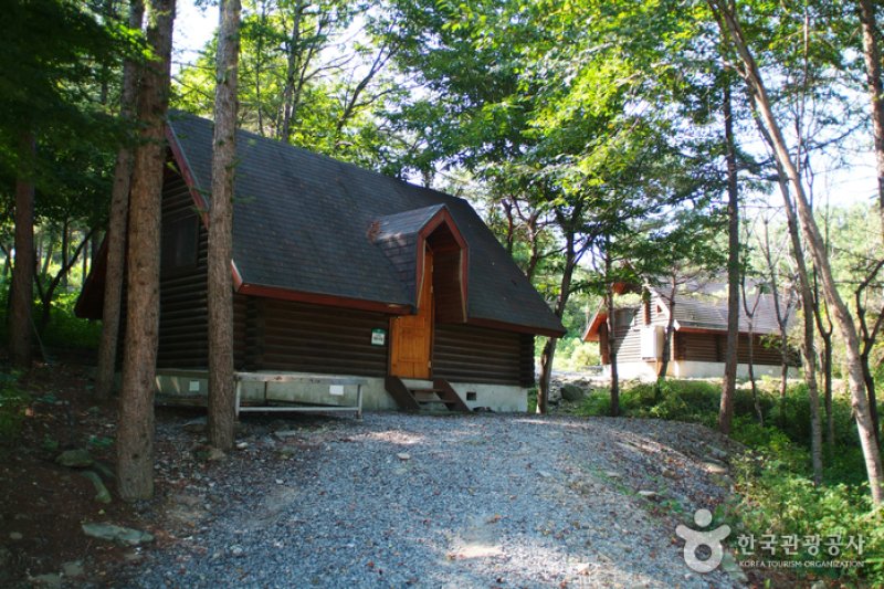 Bonghwang Natural Forest (봉황자연휴양림) (2/6)