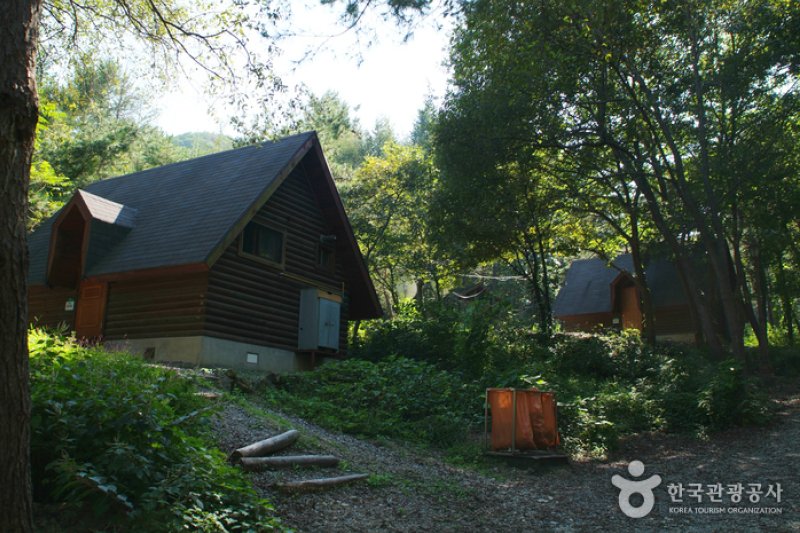 Bonghwang Natural Forest (봉황자연휴양림) (3/6)