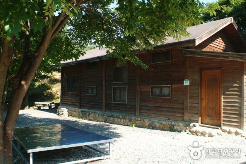 Bonghwang Natural Forest (봉황자연휴양림) (6/6)