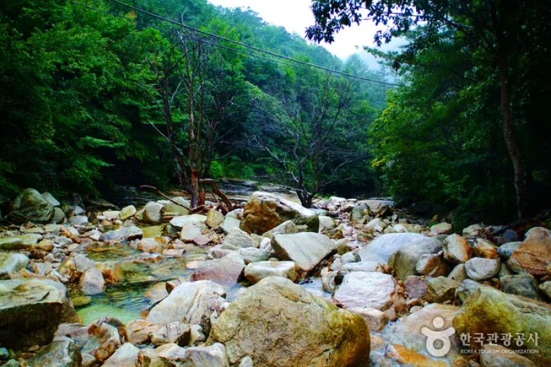Songgye Valley  (7/9)