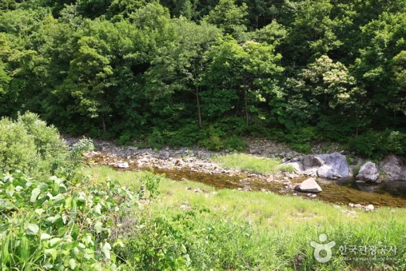 Mulhan Valley  (2/3)
