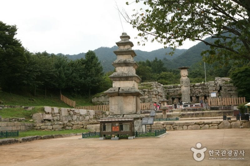 Chungju Mireukdaewon Stone Temple Site (충주 미륵대원지) (3/5)