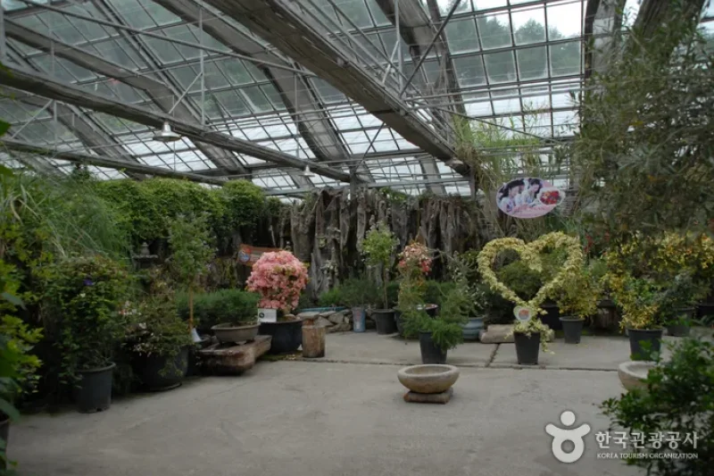 Sangsoo Herb Land (상수허브랜드) (3/12)