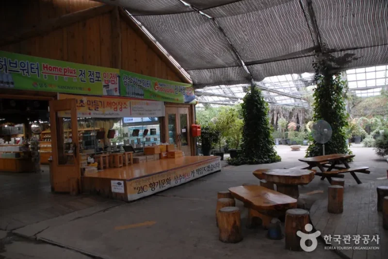 Sangsoo Herb Land (상수허브랜드) (4/12)