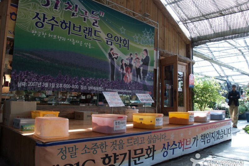 Sangsoo Herb Land (상수허브랜드) (9/12)