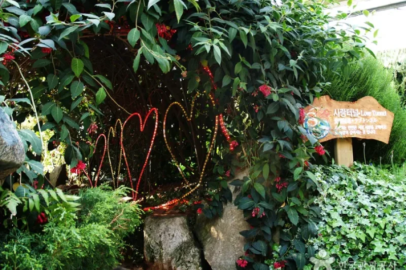 Sangsoo Herb Land (상수허브랜드) (12/12)