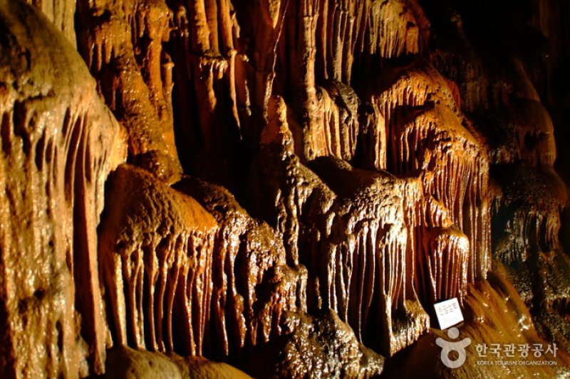 Danyang Special Tourist Zone (단양 관광특구) (4/5)