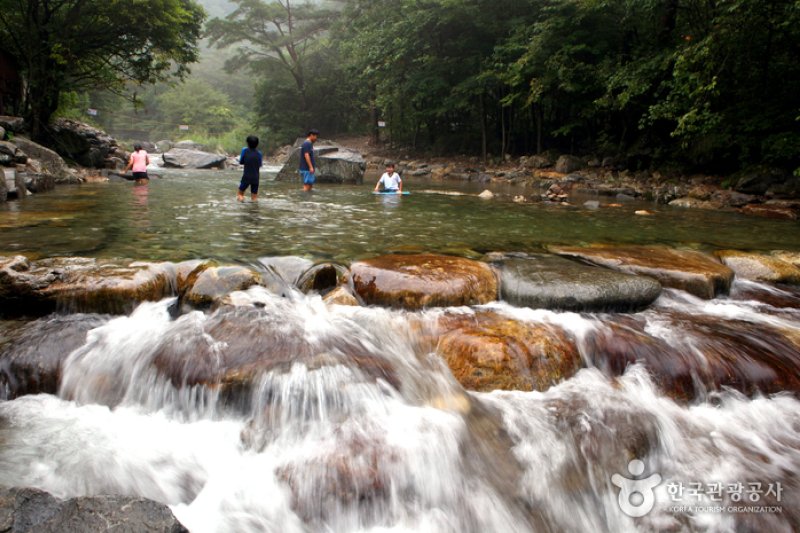 Danyang Special Tourist Zone (단양 관광특구) (5/5)