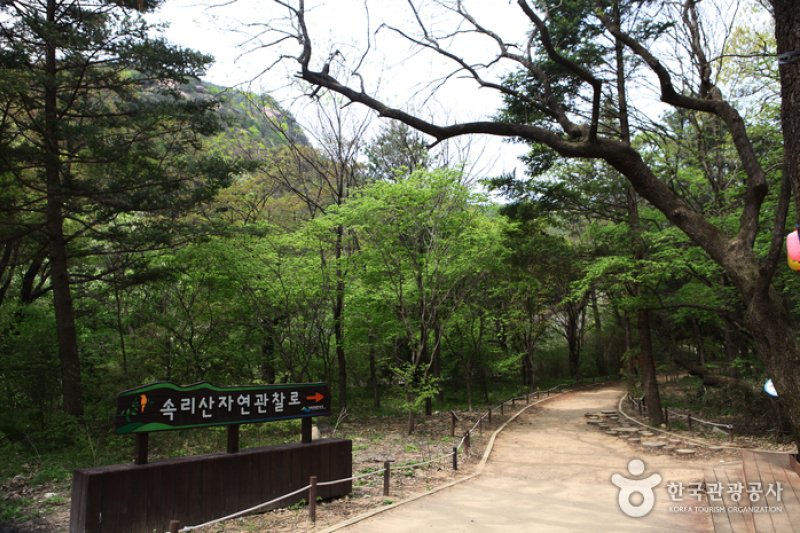 Songnisan Special Tourist Zone  (1/8)