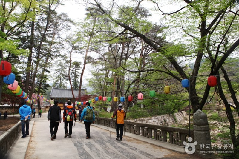 Songnisan Special Tourist Zone  (2/8)