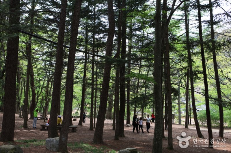 Songnisan Special Tourist Zone  (8/8)