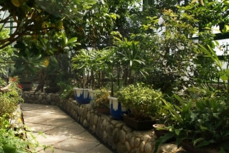 Midongsan Arboretum (미동산수목원) (4/7)