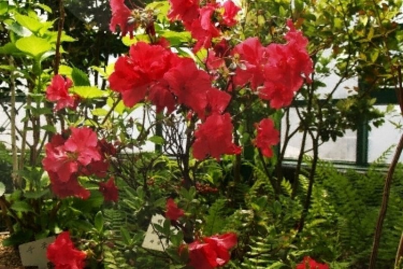 Midongsan Arboretum (미동산수목원) (5/7)