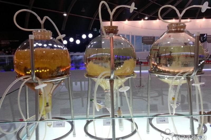Osong International Bio Industry Exposition in Korea  (21/27)