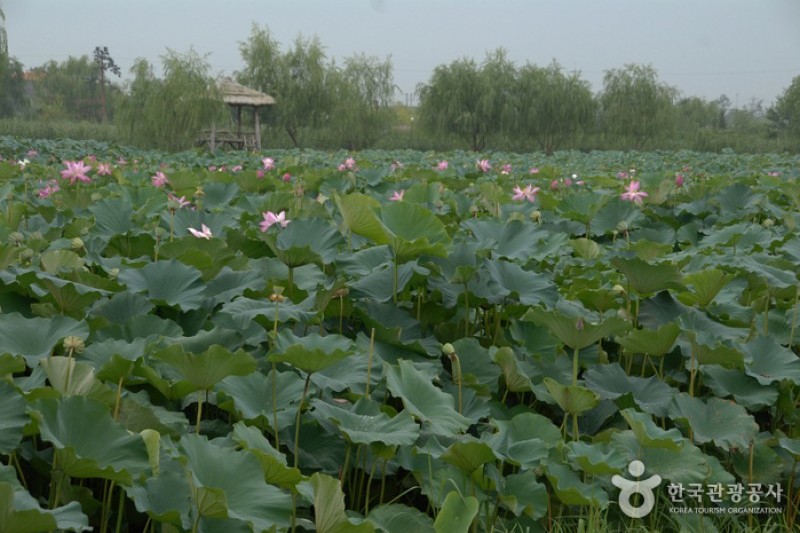 Seodong Park and Gungnamji Pond  (1/13)