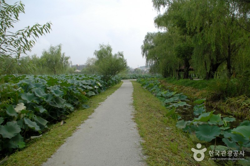Seodong Park and Gungnamji Pond  (3/13)