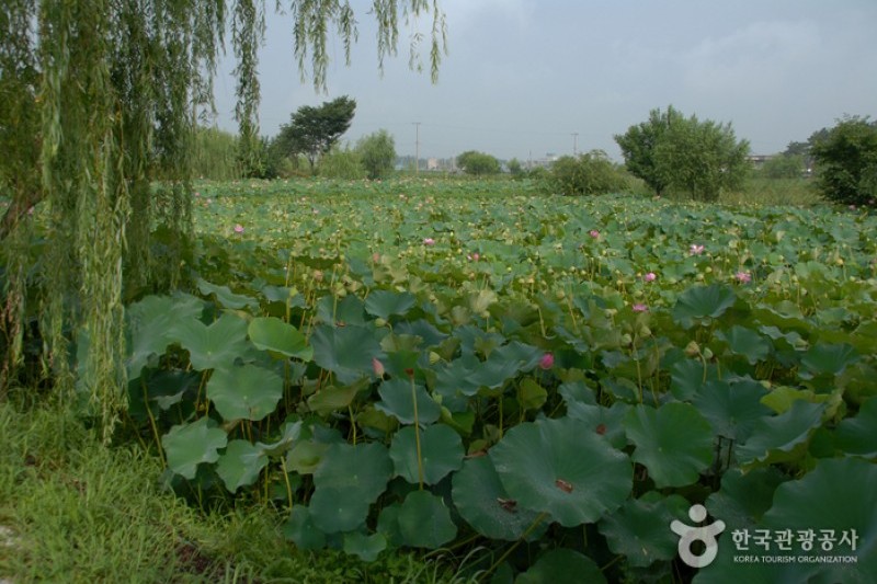 Seodong Park and Gungnamji Pond  (4/13)