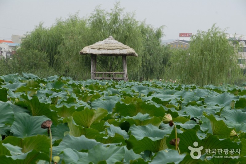 Seodong Park and Gungnamji Pond  (5/13)